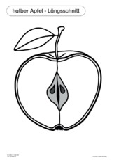 Der Apfel im Unterricht 18.pdf